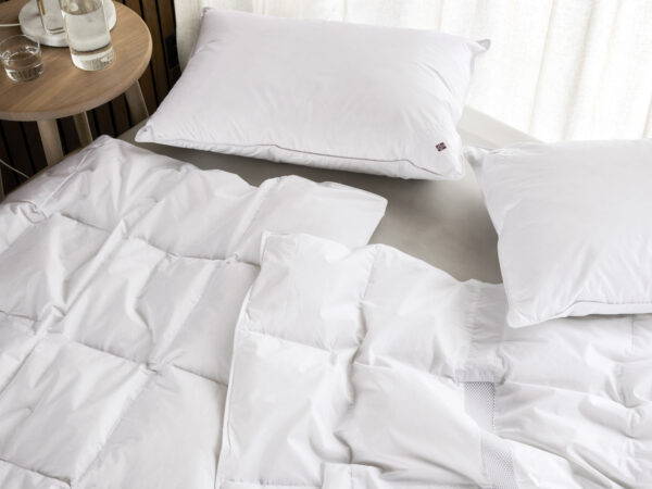 Pillows and blankets