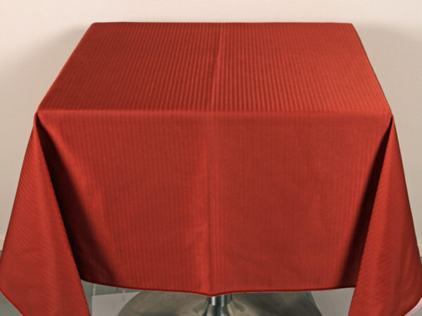 Bonetex_7416